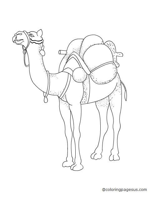 camel01 coloring page