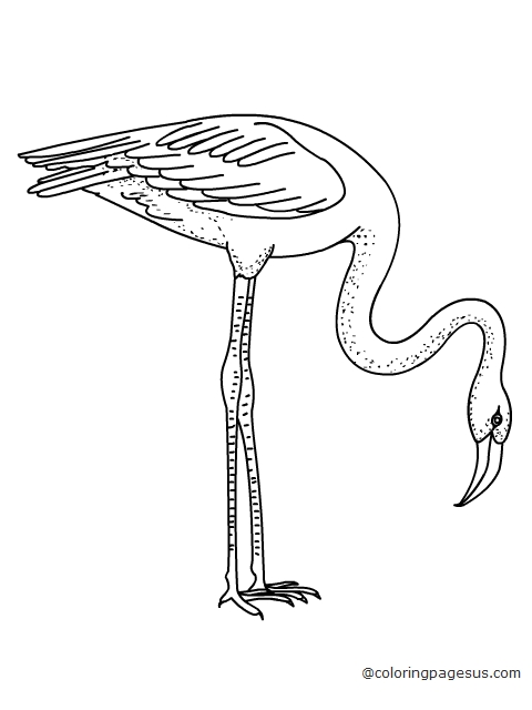 crane01 coloring page