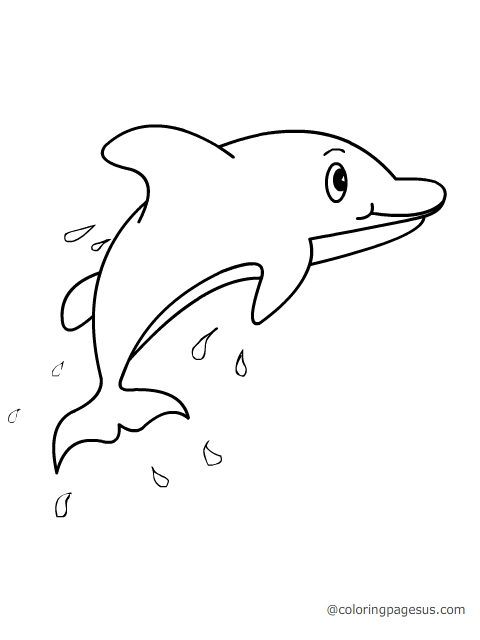 dolphin02 coloring page