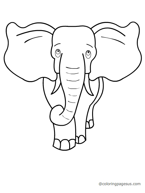 Elephant coloring page