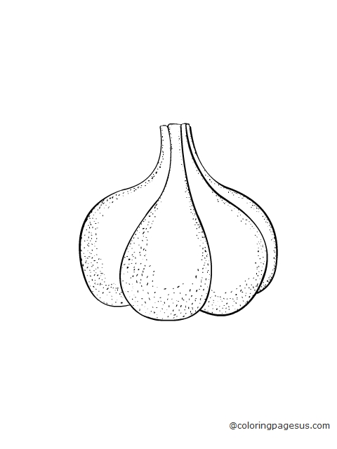 garlic01 coloring page