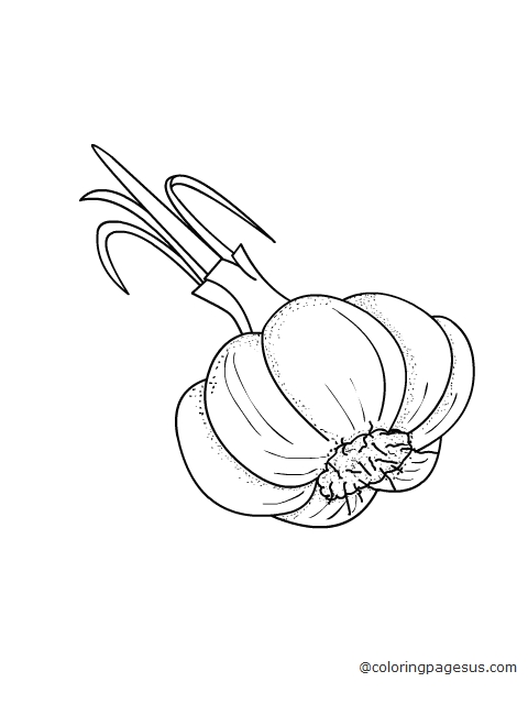 garlic02 coloring page