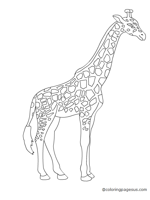 giraffe01 coloring page