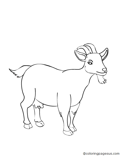 goat03 coloring page
