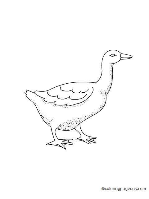 goose03 coloring page