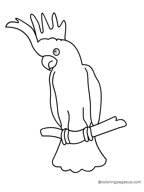 Cockatoo coloring page