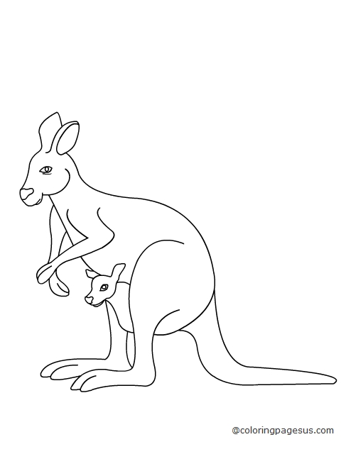 kangaroo04 coloring page