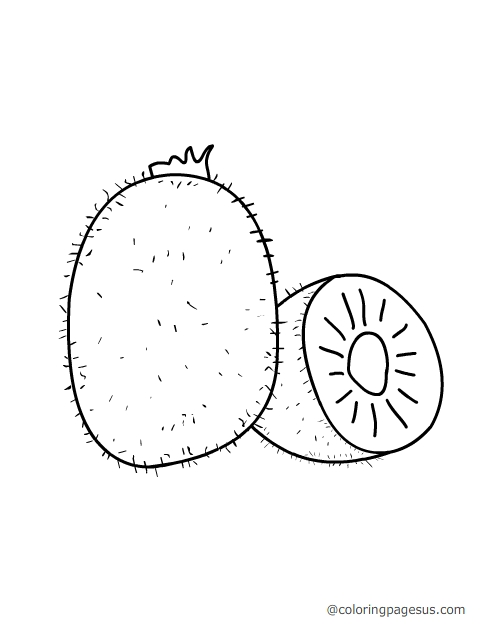 Kiwi coloring page