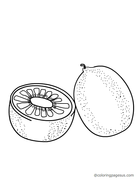 Kiwi coloring page