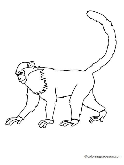 monkey04 coloring page