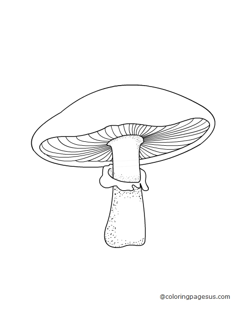 mushroom03 coloring page