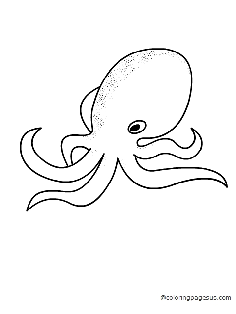 octopus05 coloring page