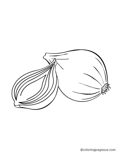 onion02 coloring page