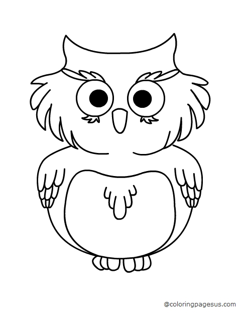 owl coloring page