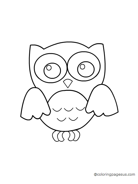owl coloring page