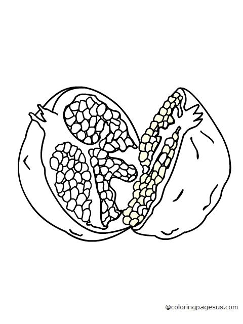 pomegranate02 coloring page