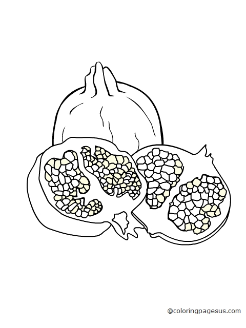 pomegranate03 coloring page