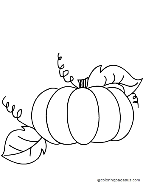 Pumpkin coloring page