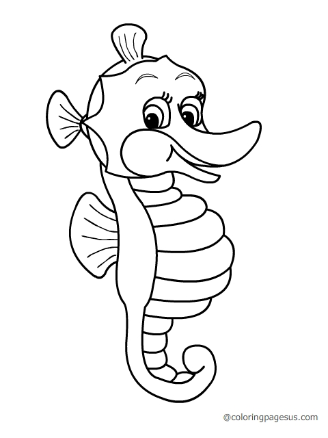 seahorse02 coloring page