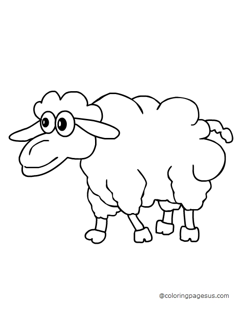 Sheep coloring page