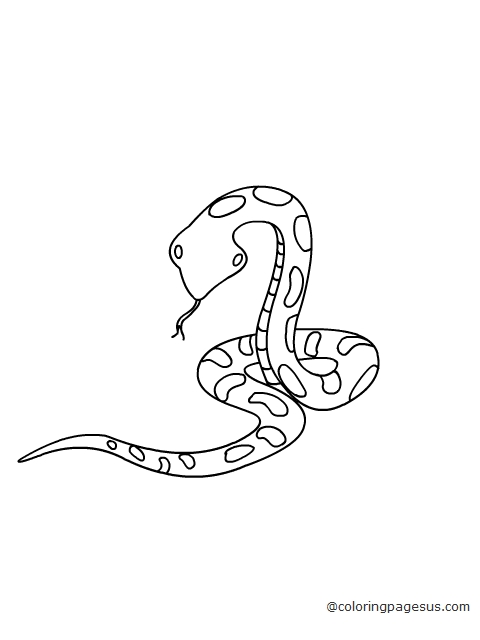 snake02 coloring page