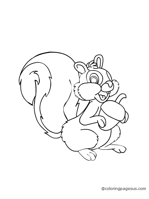 squirell01 coloring page