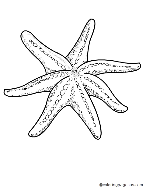 starfish02 coloring page