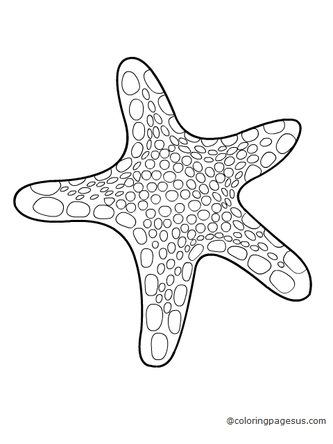 starfish05 coloring page