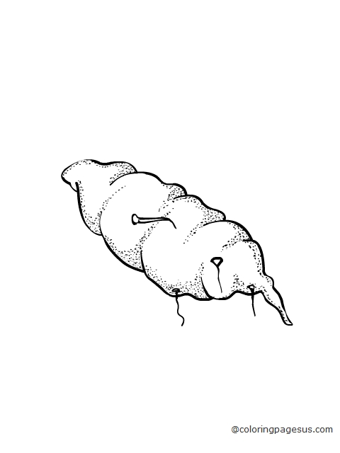 sweetpotato02 coloring page