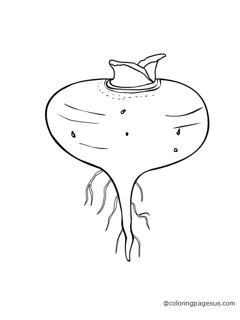 turnip01 coloring page