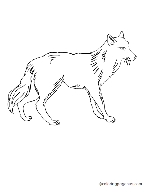 wolf02 coloring page