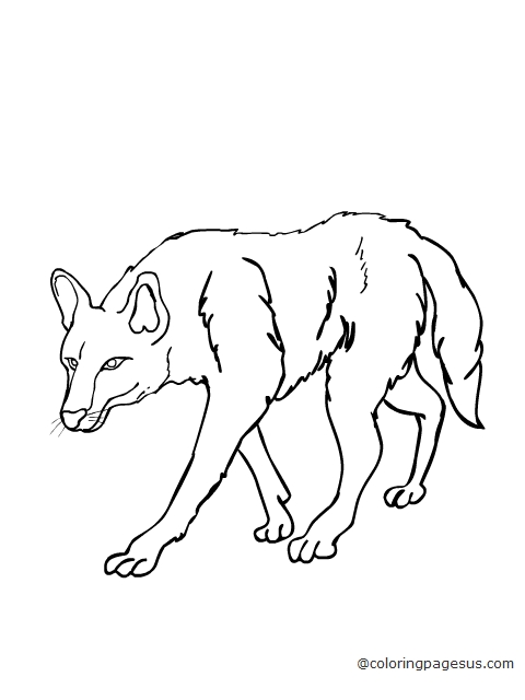 wolf04 coloring page