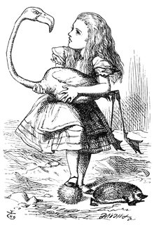 Alice and the Flamingo coloring page