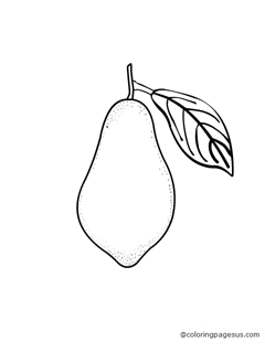 avocado03 coloring page