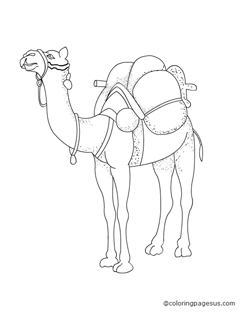 camel01 coloring page
