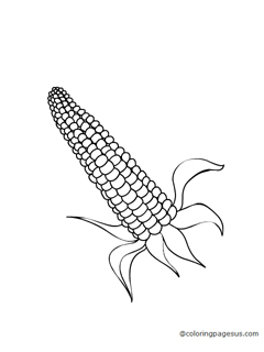 corn05 coloring page