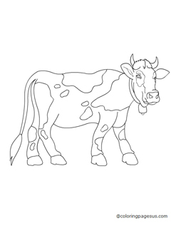 cow01 coloring page