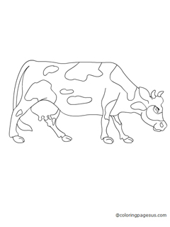 cow02 coloring page