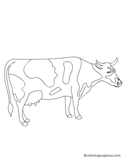 cow04 coloring page