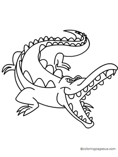 Crocodile coloring page