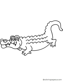 Crocodile coloring page