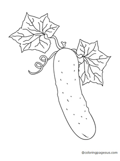 cucumber03 coloring page