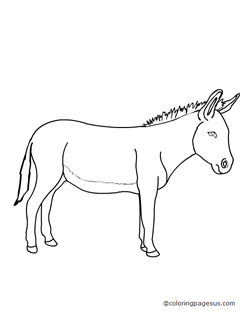 donkey02 coloring page