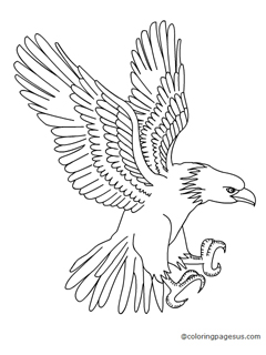 eagle02 coloring page