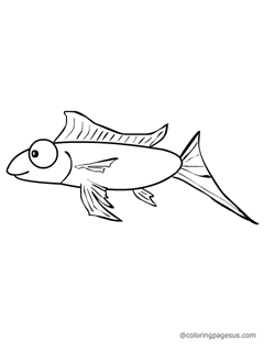 Fish coloring page