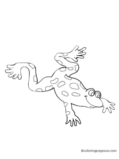 frog01 coloring page
