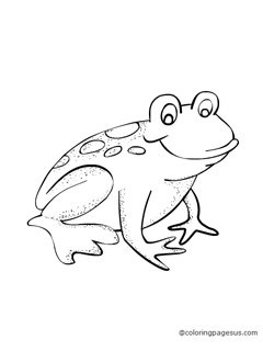 frog02 coloring page