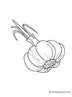 garlic02 coloring page