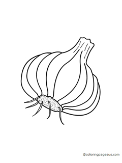 garlic03 coloring page