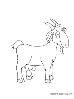 goat04 coloring page